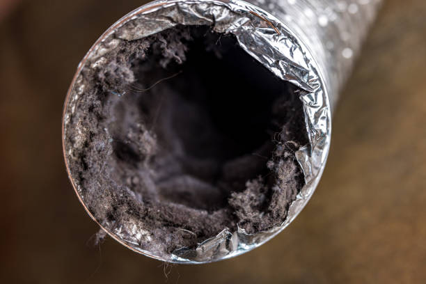 Best Best Air Duct Cleaning Company  in Montevlo, AL